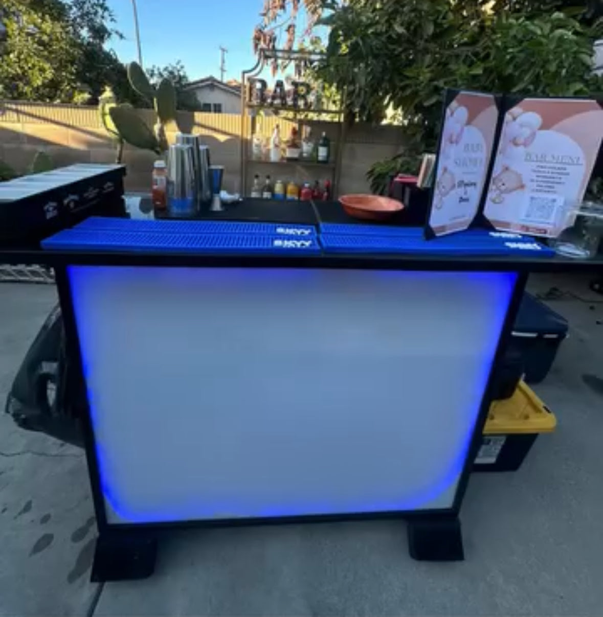 Private Bartending Service