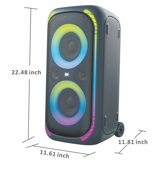 Party Speaker